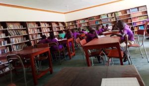 Library 3